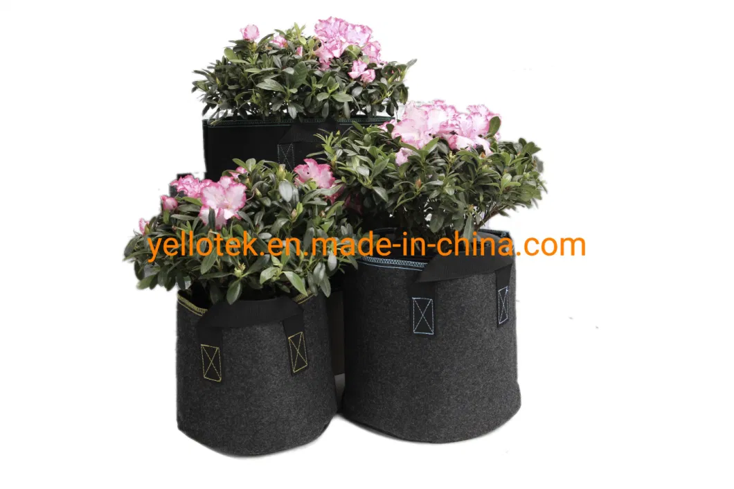 All Size Outdoor Garden Flower Fabric Pot High-Quality Grow Bags with Handles